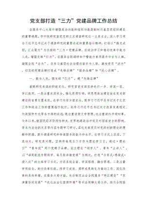 党支部打造“三力”党建品牌工作总结2300字.docx