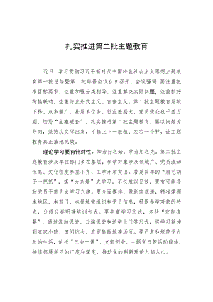扎实推进第二批主题教育.docx