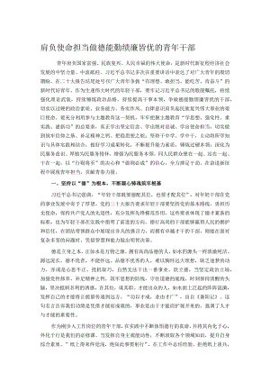肩负使命担当 做德能勤绩廉皆优的青年干部.docx