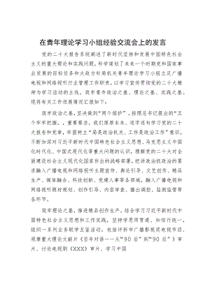 在青年理论学习小组经验交流会上的发言.docx