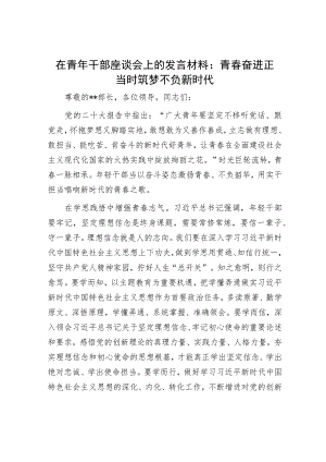 在青年干部座谈会上的发言材料：青春奋进正当时 筑梦不负新时代.docx