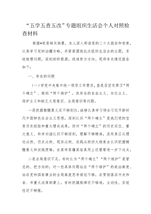 “五学五查五改”专题组织生活会个人对照检查材料.docx
