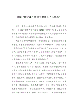 抓实“理论课”筑牢干部成长“压舱石”.docx