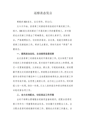 巡察表态发言.docx
