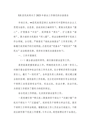 XX县民政局关于2023年普法工作情况的自查报告.docx