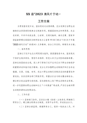 XX县“2023清风行动”工作方案 .docx