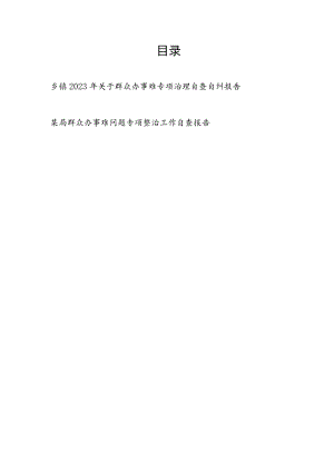 乡镇2023年关于群众办事难专项治理自查自纠报告和某局群众办事难问题专项整治工作自查报告.docx