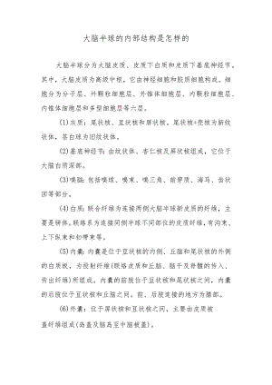 大脑半球的内部结构是怎样的.docx