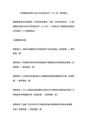 小肠梗阻的诊断与治疗中国专家共识（2023版）推荐意见.docx