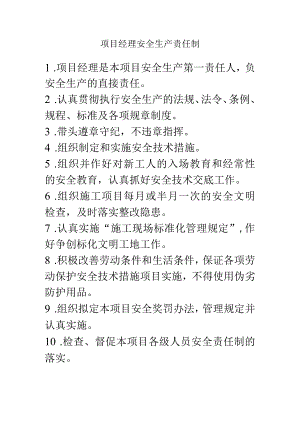 项目经理安全生产责任制.docx