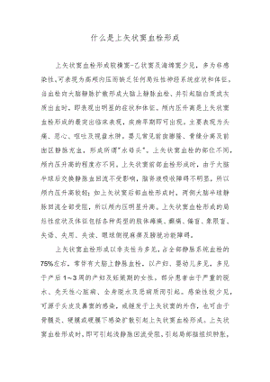 什么是上矢状窦血栓形成.docx