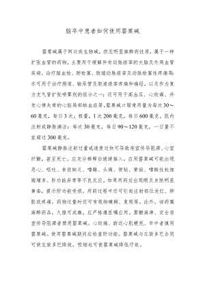 脑卒中患者如何使用罂粟碱.docx
