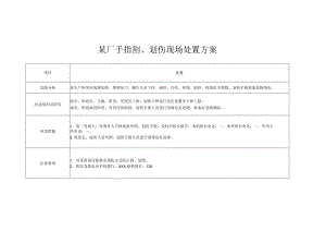 某厂手指割、划伤现场处置方案.docx