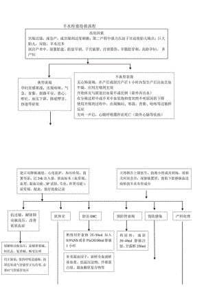 羊水栓塞抢救流程图.docx