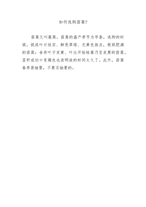 如何选购茼蒿？.docx