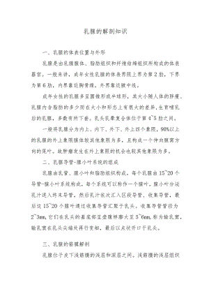 乳腺的解剖知识.docx