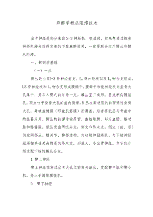麻醉学骶丛阻滞技术.docx