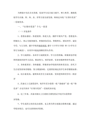 红领巾奖章的实施方案.docx
