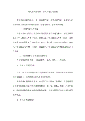 幼儿园安全培训：台风的逃生与自救.docx