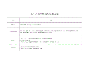 某厂人员晕倒现场处置方案.docx