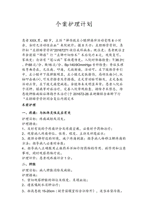 胫腓骨骨折个案护理计划.docx