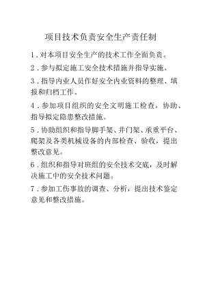 项目技术负责安全生产责任制.docx