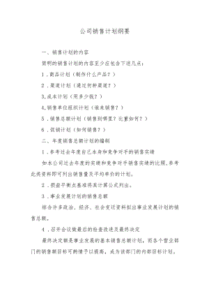 公司销售计划纲要.docx