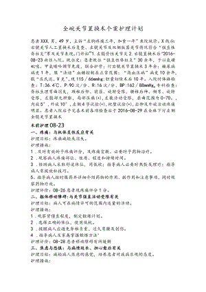 全髋关节置换术个案护理计划.docx