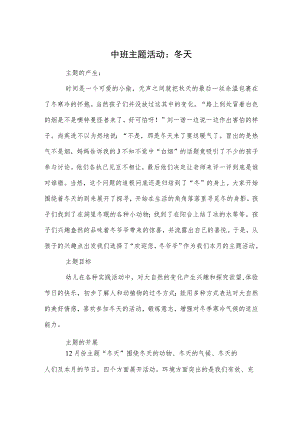 中班主题活动：冬天.docx