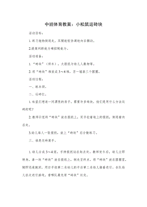 中班体育教案：小松鼠运砖块.docx