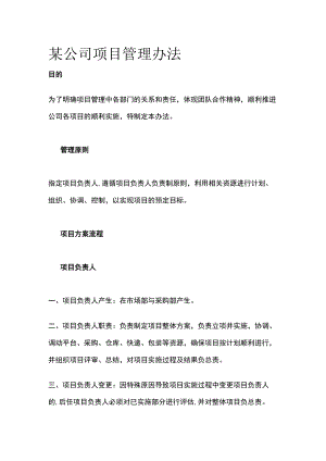 某公司项目管理办法.docx