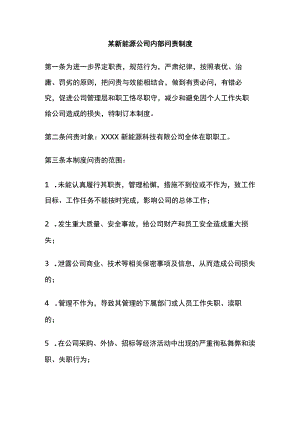 某新能源公司内部问责制度.docx