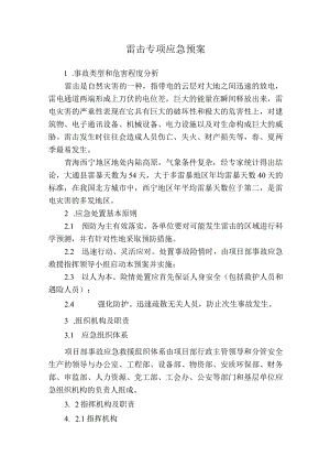 雷击专项应急预案.docx