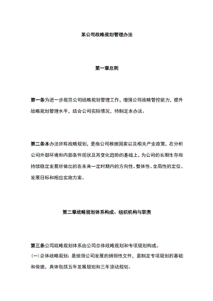 某公司战略规划管理办法.docx