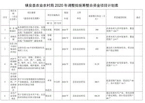 镇安县农业农村局2020年调整批统筹整合资金项目计划表.docx