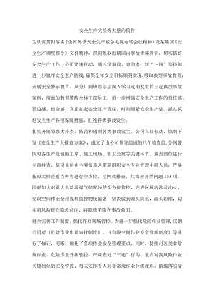 安全生产大检查大整治稿件.docx