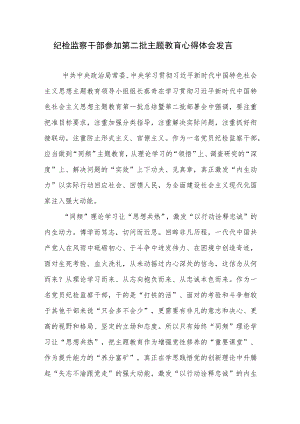 纪检监察干部参加第二批主题教育心得体会发言2篇.docx