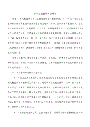 参加纪检整顿体会研讨.docx
