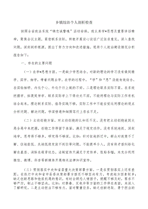 乡镇综治个人剖析检查.docx