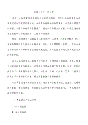 美容行业产业链分析.docx