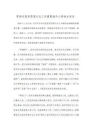 贯彻对宣传思想文化工作重要指示心得体会发言.docx