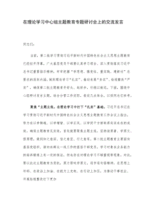在理论学习中心组主题教育专题研讨会上的交流发言.docx