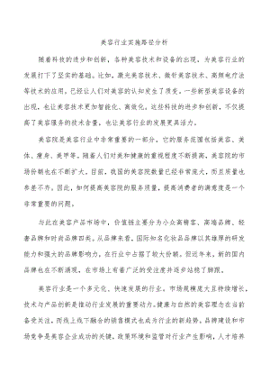 美容行业实施路径分析.docx