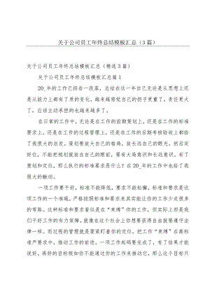 关于公司员工年终总结模板汇总（3篇）.docx