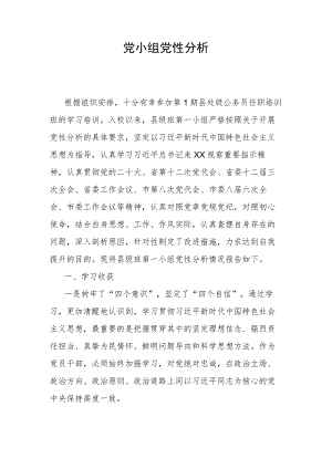 党小组党性分析.docx