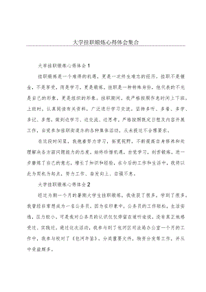 大学挂职锻炼心得体会集合.docx
