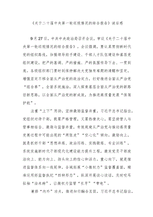 《关于二十届中央第一轮巡视情况的综合报告》读后感2篇.docx
