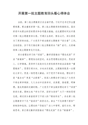 开展第一批主题教育回头看心得体会.docx