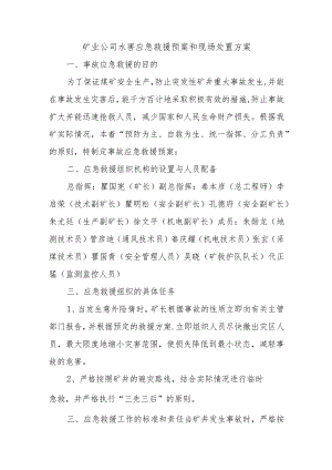 矿业公司水害应急救援预案和现场处置方案.docx