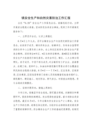 镇安全生产和自然灾害防治工作汇报.docx